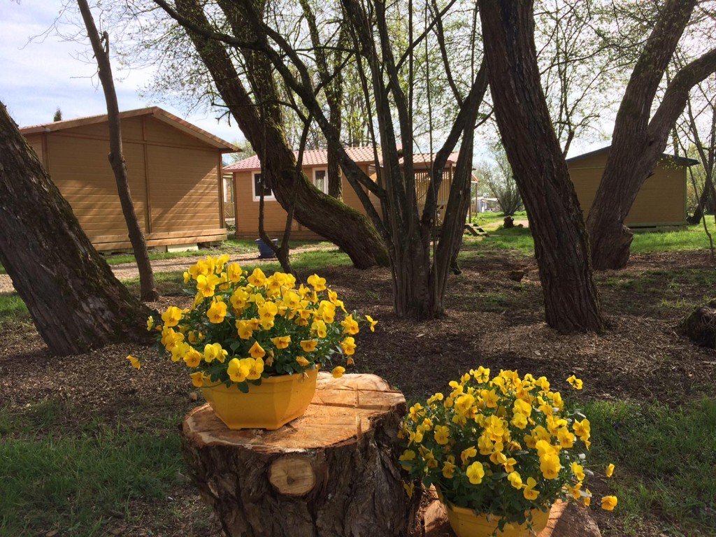 Camping de l'Étang des Forges - Onlycamp